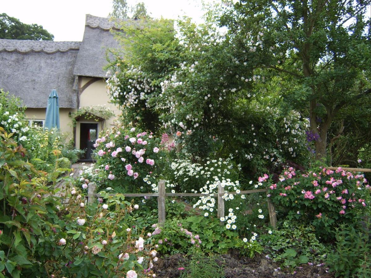 Thatched Cottage B&B Hever Exterior photo