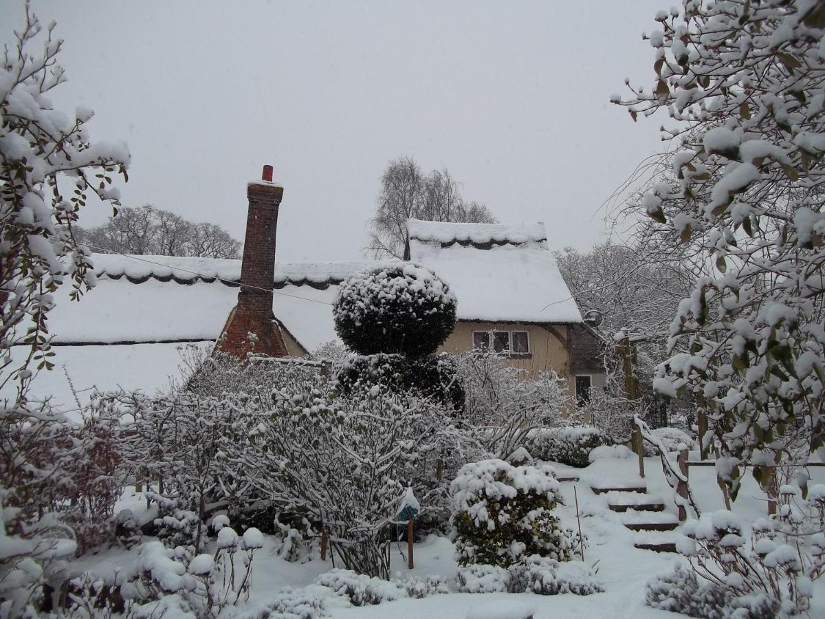 Thatched Cottage B&B Hever Exterior photo